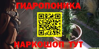дурь Боровичи