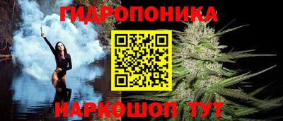 дурь Боровичи