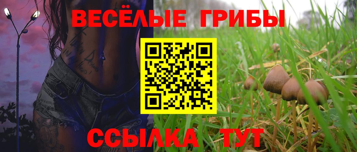 Псилоцибиновые грибы мицелий Белогорск